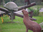 Parque Luagrcito San Gregorio de Polanco