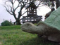 Parque Luagrcito San Gregorio de Polanco
