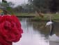 Parque Luagrcito San Gregorio de Polanco