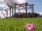 Parque Luagrcito San Gregorio de Polanco